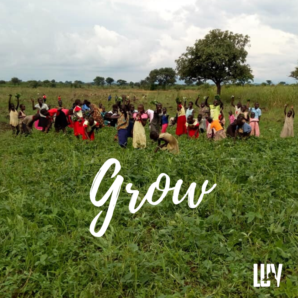 LUV's Hope For South Sudan children and farm are GROWING!
